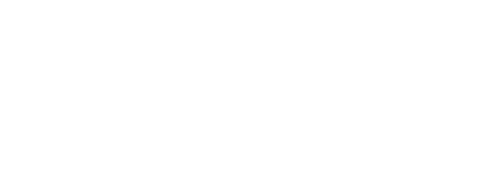 Panini